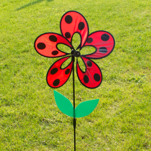 paradiese flower  2020 _np401720_1