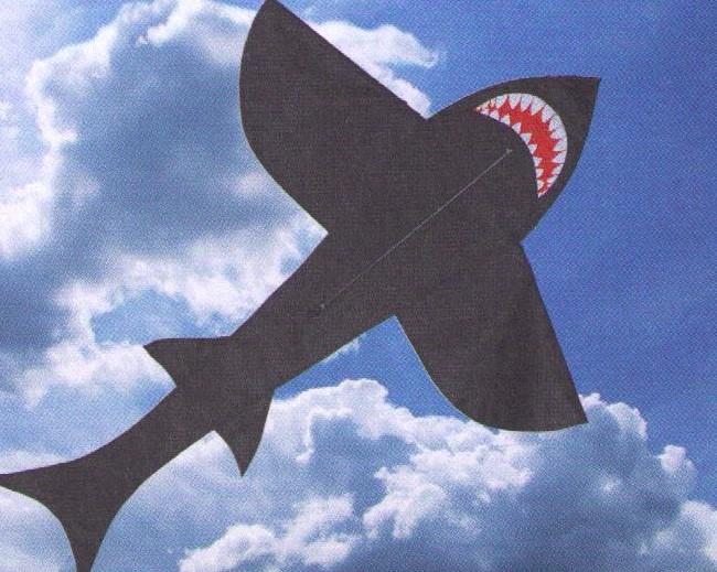 Shark_1