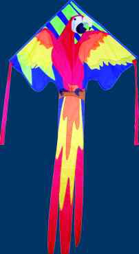 a_largeEFmacaw