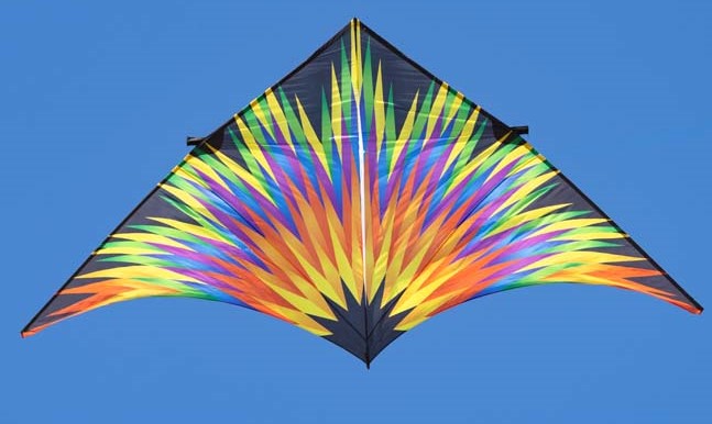 106424_g41-1