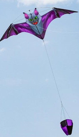100035_g56-1 100035_g56-1