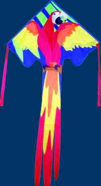 a_largeEFmacaw a_largeEFmacaw